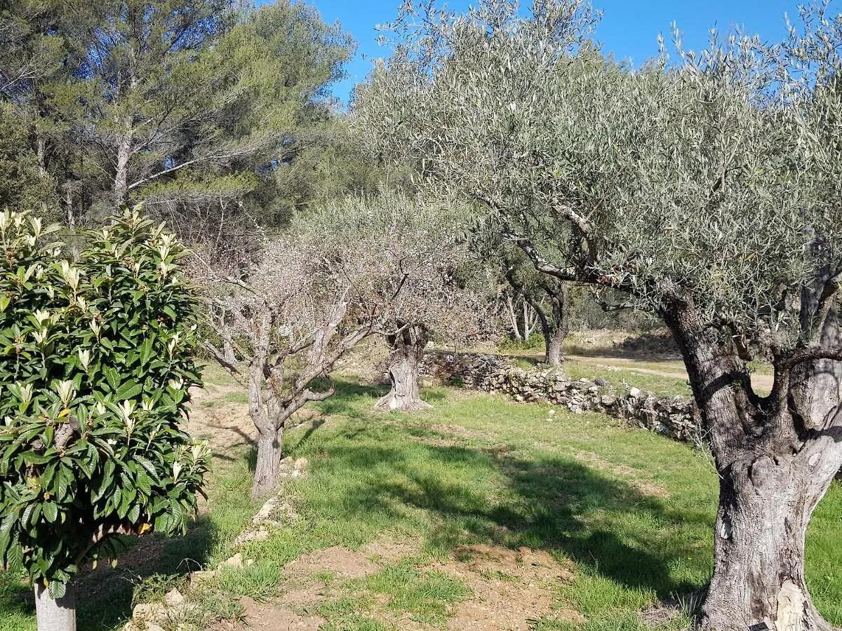 Love hotel Gites Mas Des Rochers - Case Bambou Avec Spa Le Beausset